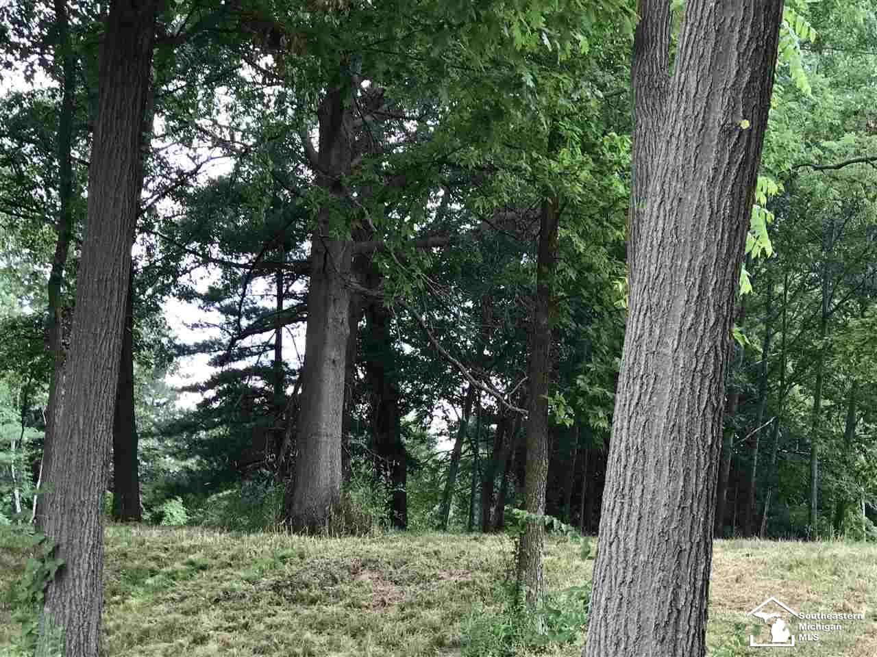 4320 South Custer Road Monroe, MI 48161 - Photo 15 of 17