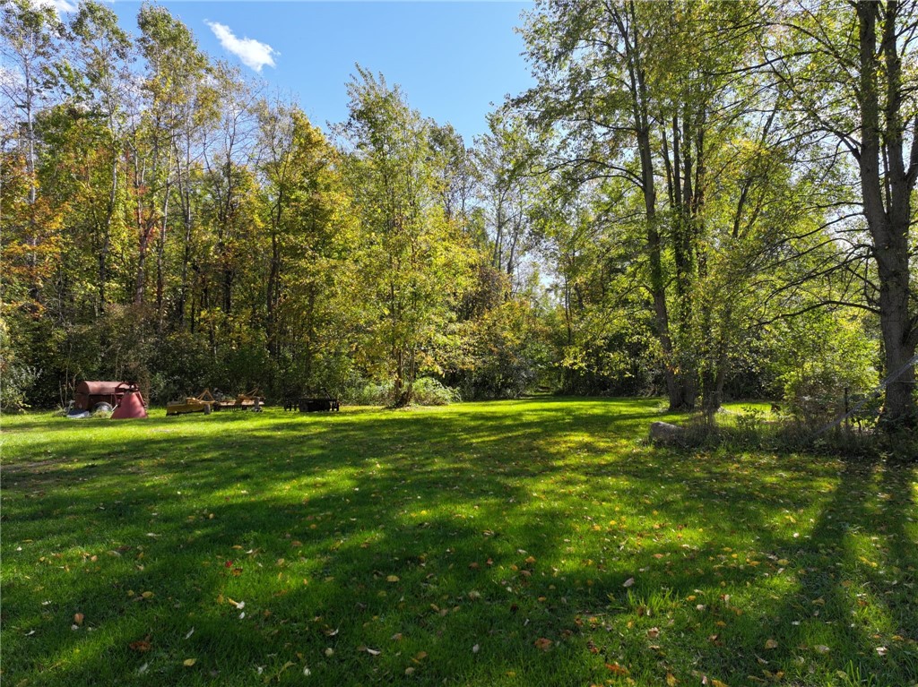 13562 Jenkins Road Red Creek, NY 13143 - Photo 6 of 22