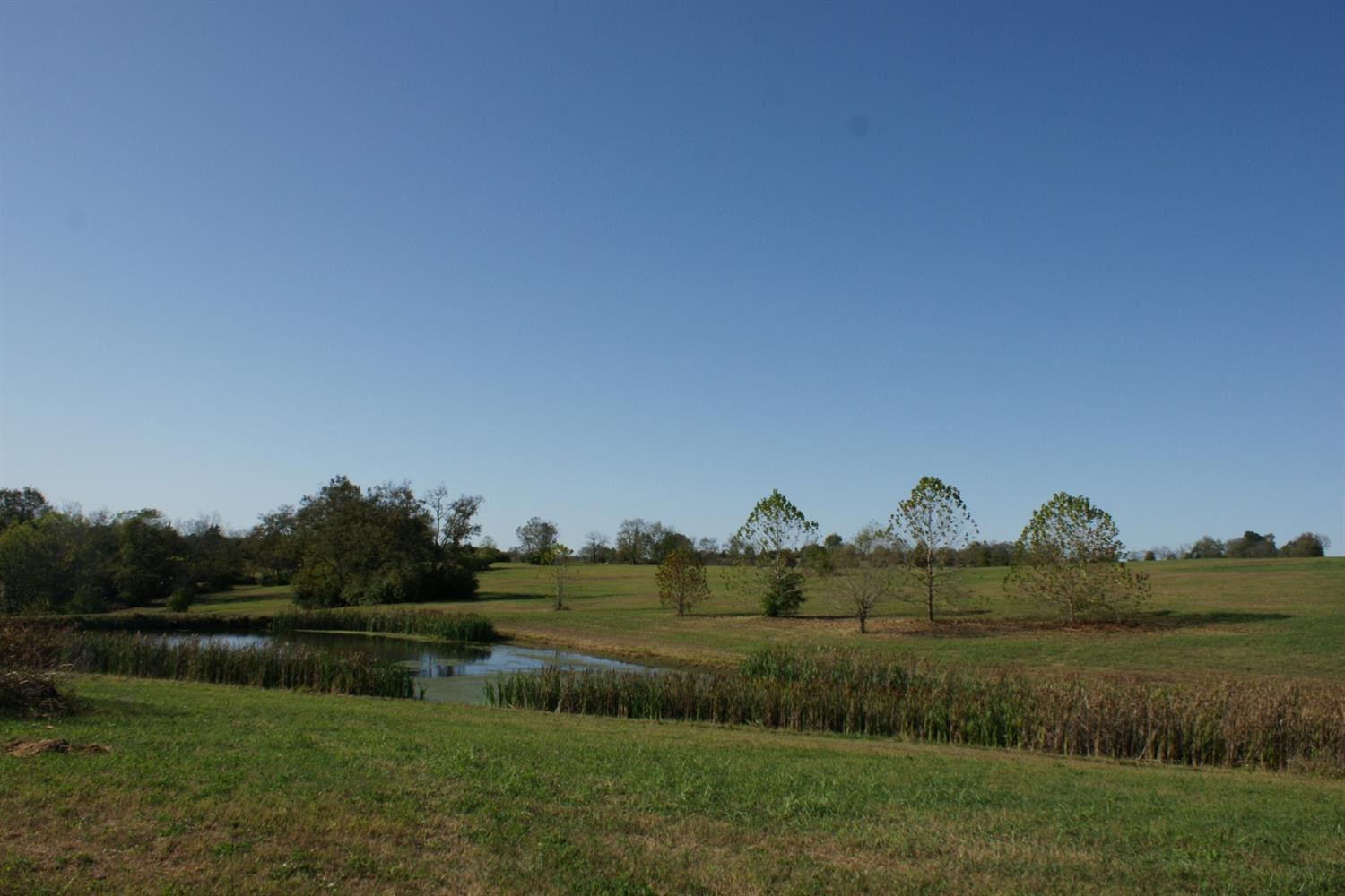 475 Grimes Mill Road Lexington, KY 40515 - Photo 11 of 11 Photo 11