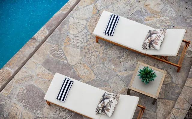 a plant is in front of a house