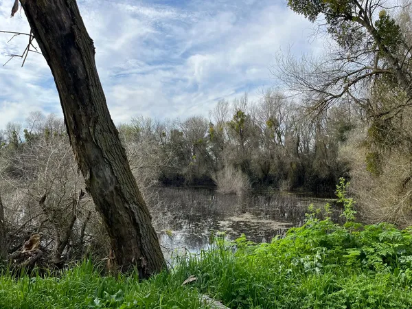 a view of green field