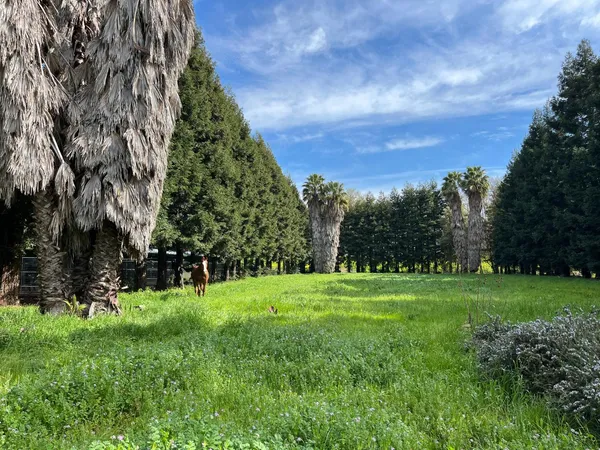 a view of porch with seating space