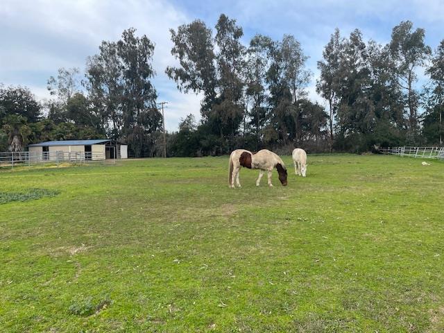 28108 Thornton Road Galt, CA 95632 - Photo 2 of 23