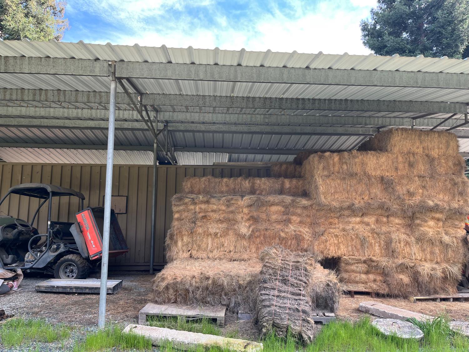 28108 Thornton Road Galt, CA 95632 - Photo 23 of 23