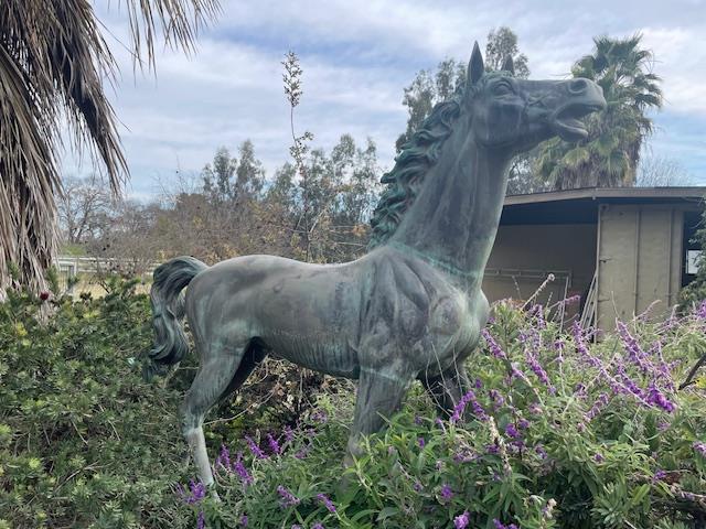 28108 Thornton Road Galt, CA 95632 - Photo 3 of 23