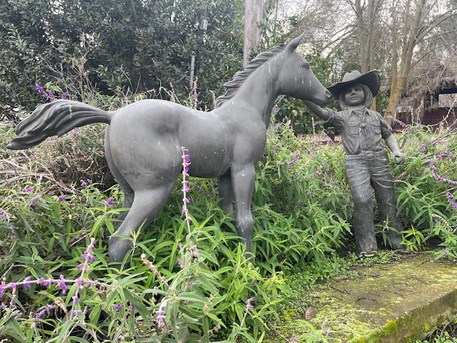 28108 Thornton Road Galt, CA 95632 - Photo 5 of 23