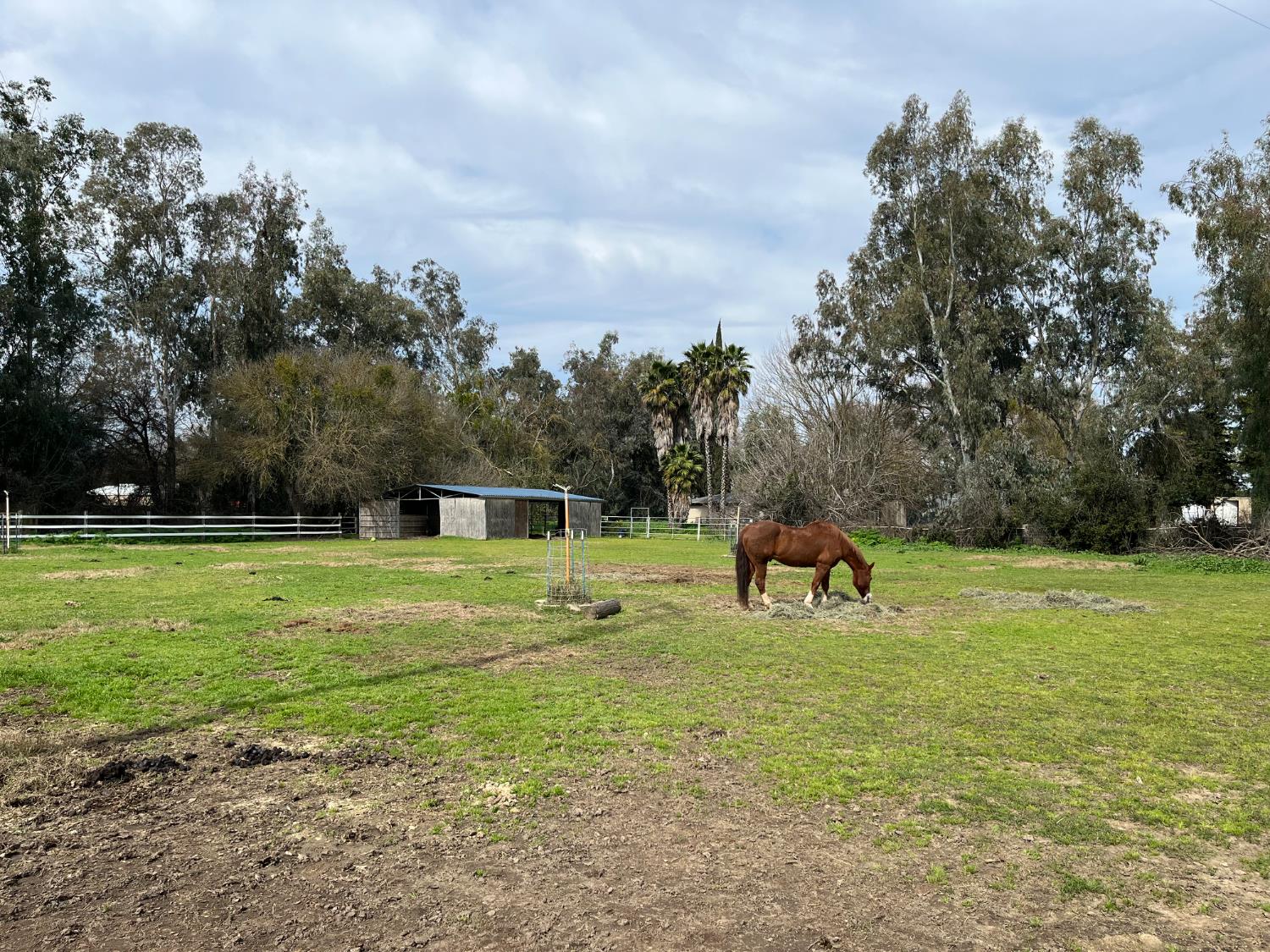 28108 Thornton Road Galt, CA 95632 - Photo 7 of 23
