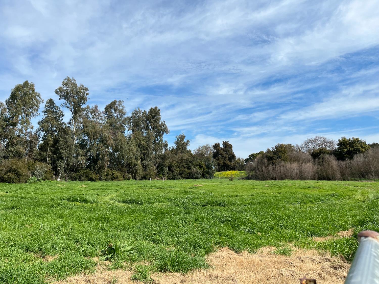 28108 Thornton Road Galt, CA 95632 - Photo 10 of 23