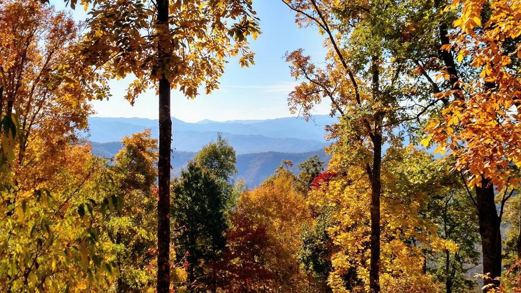 0 East Alarka Road Bryson City, NC 28713 - Photo 21 of 28