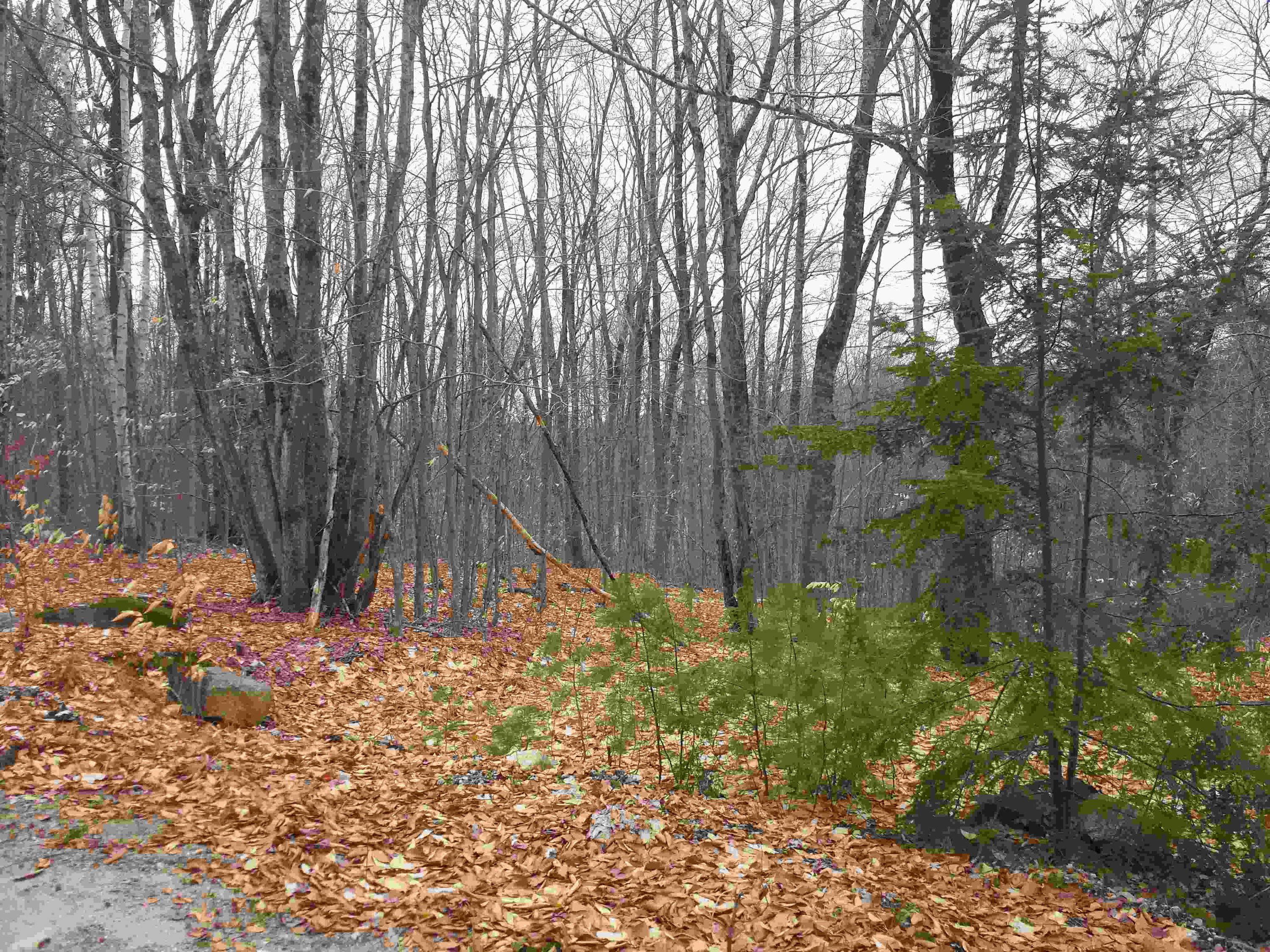 98 Beach Road Naples, ME 04055 - Photo 13 of 41 20200412_135630