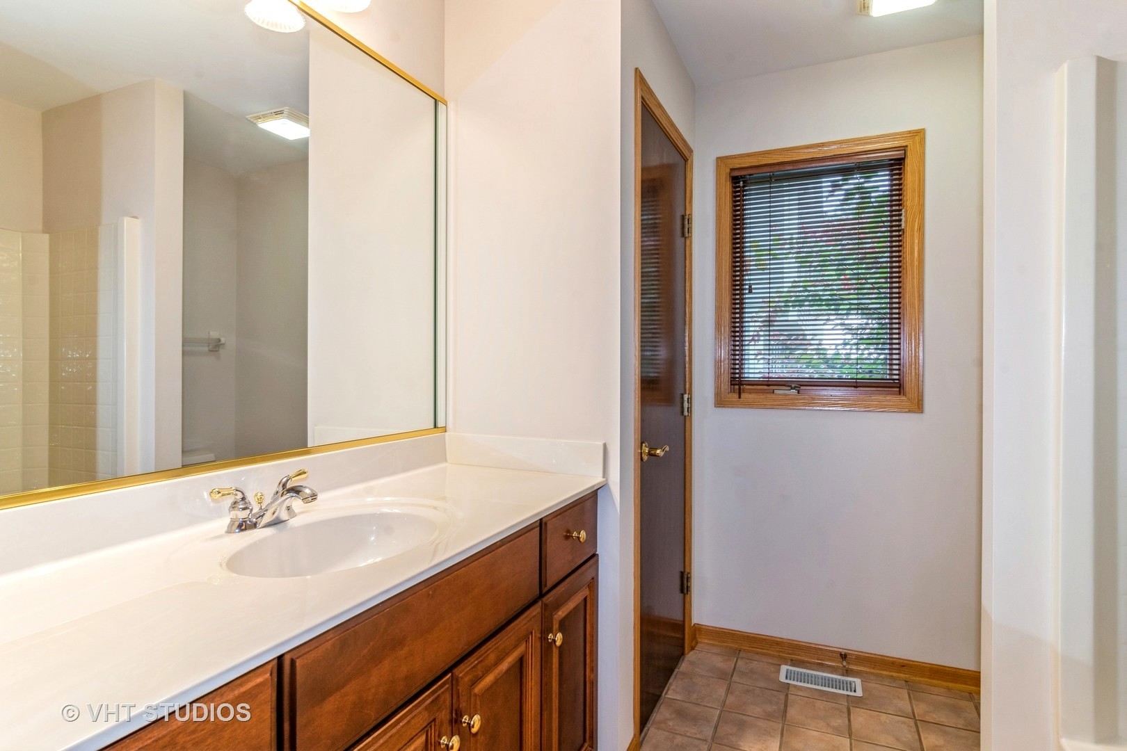 980 Pinecrest Drive Sugar Grove, IL 60554 - Photo 30 of 38 a bathroom with a sink and a mirror