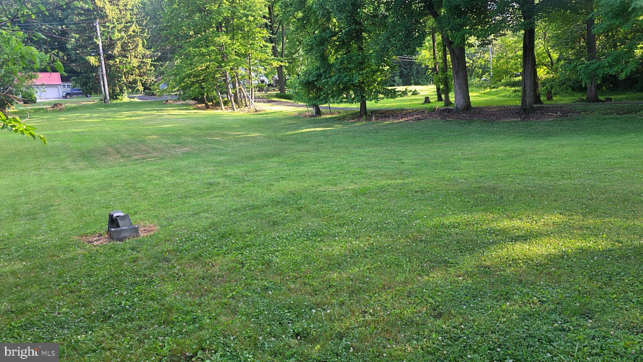 993 Mt Wilson Road Lebanon, PA 17042 - Photo 6 of 26 a huge green field with lots of trees