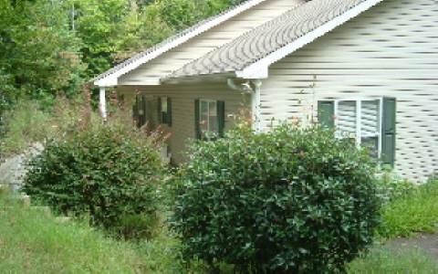 171 Wildcat Creek Road Ellijay, GA 30540 - Photo 1 of 1 Main View