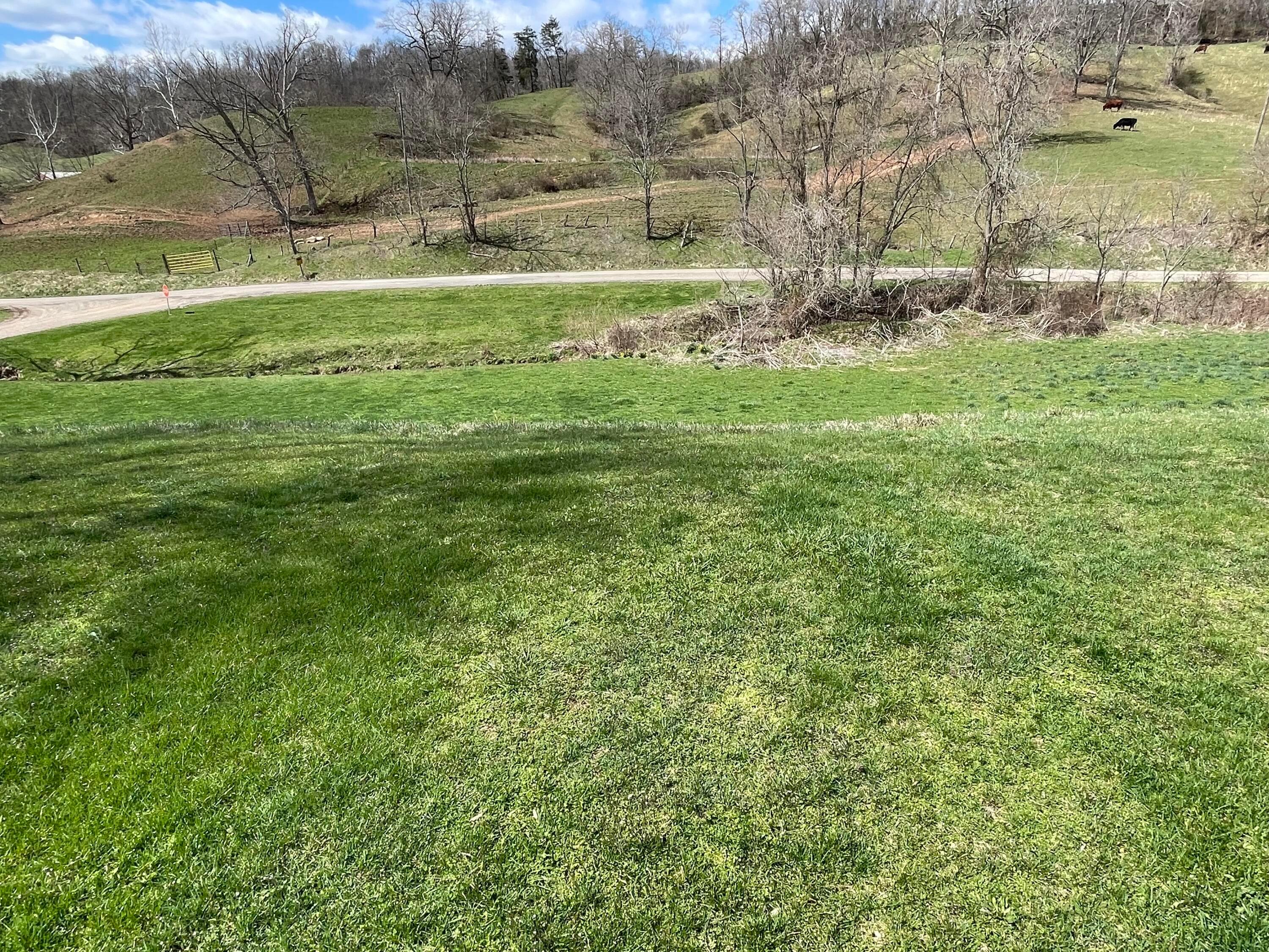 50250 Hoback Road Racine, OH 45771 - Photo 7 of 32 IMG_0973