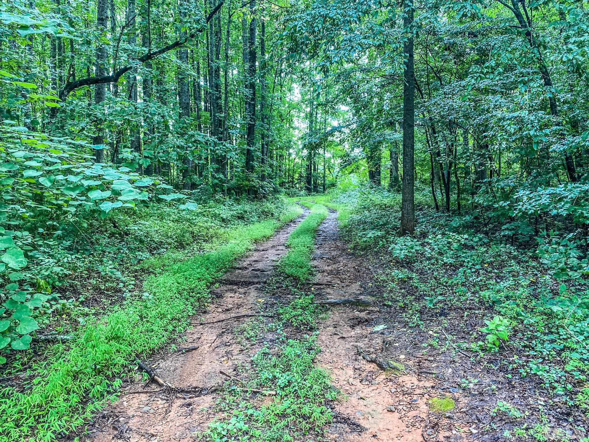 1.41-acres Dick Holeman Road Timberlake, NC 27583 - Photo 3 of 9