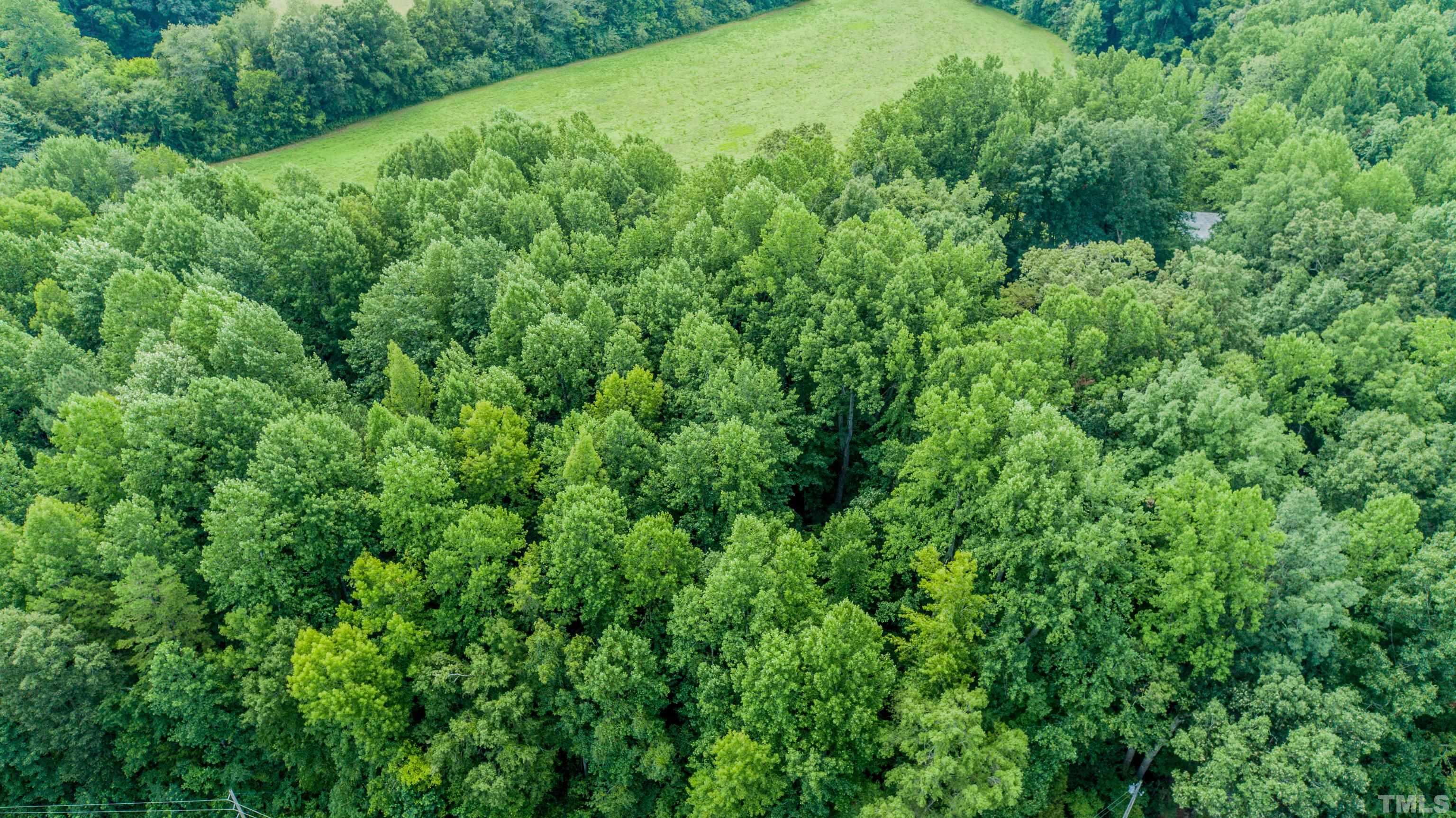 1.41-acres Dick Holeman Road Timberlake, NC 27583 - Photo 7 of 9
