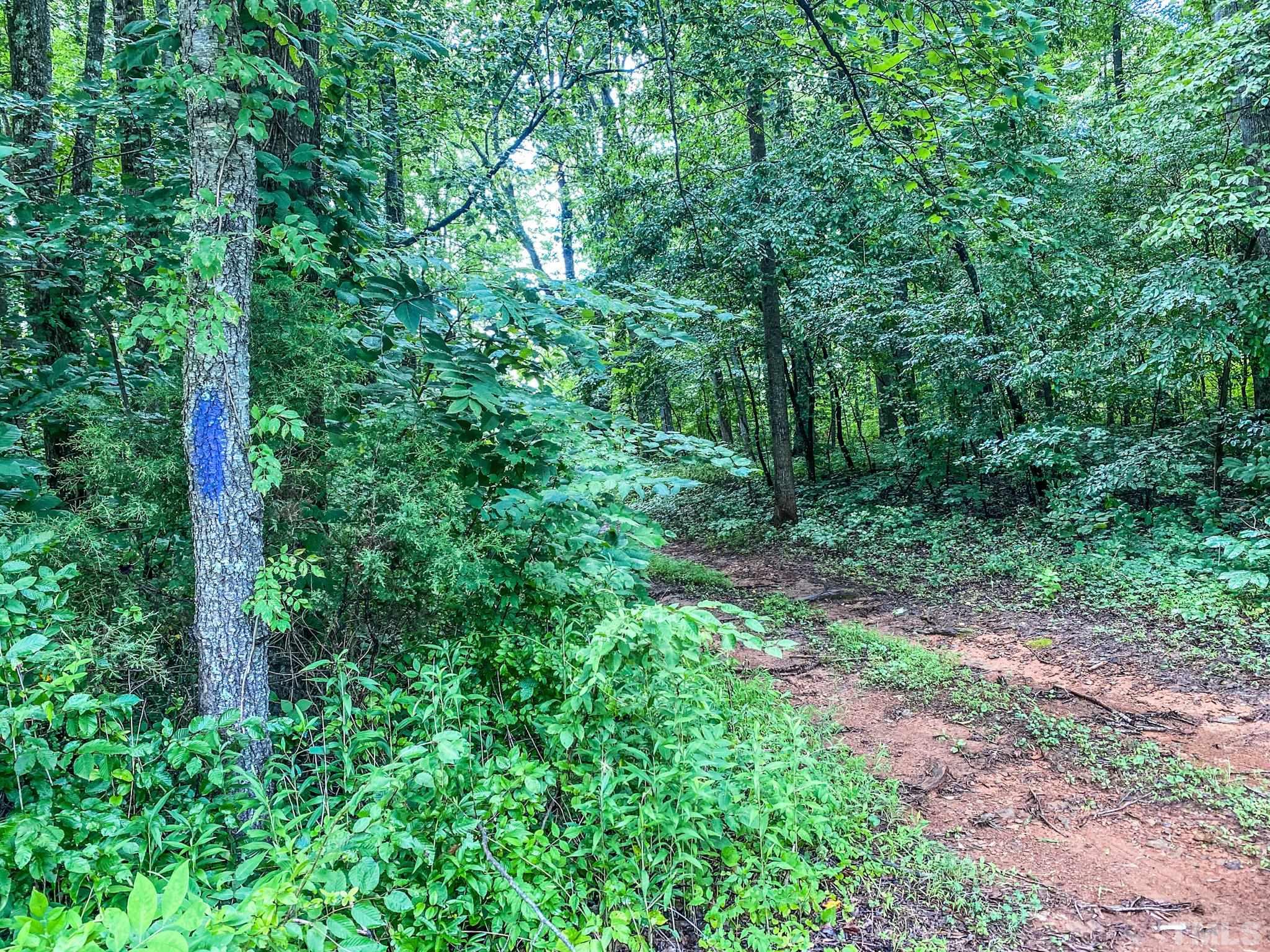 1.41-acres Dick Holeman Road Timberlake, NC 27583 - Photo 8 of 9
