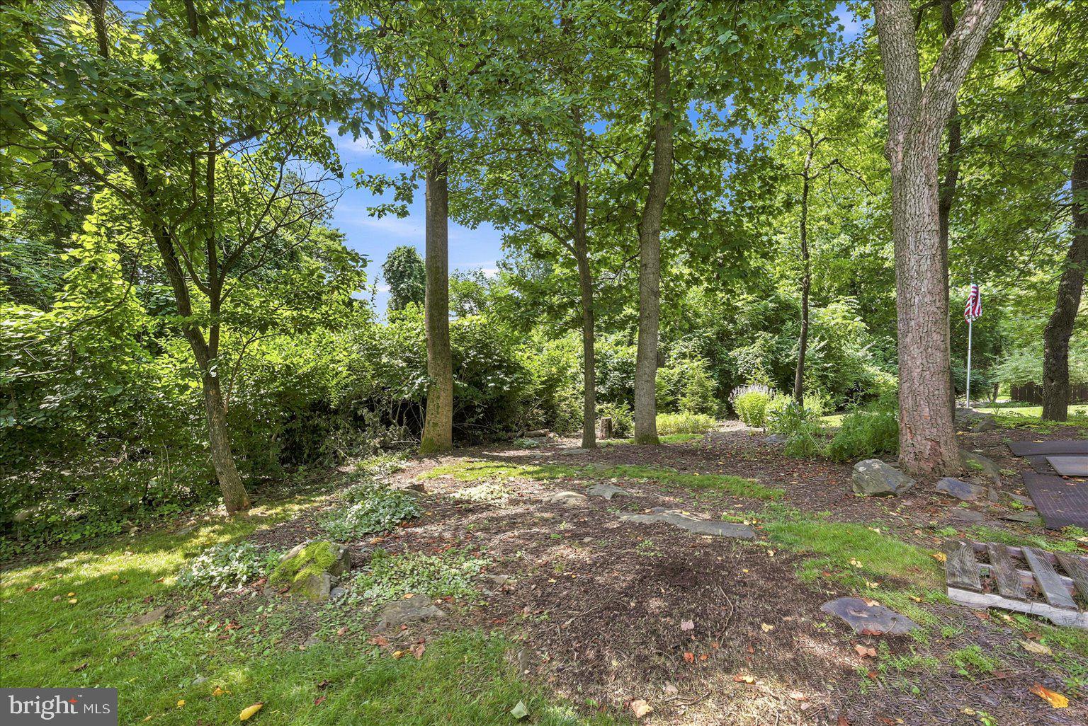 32 Parnassus Road Linden, VA 22642 - Photo 51 of 64 Gallery Image 51