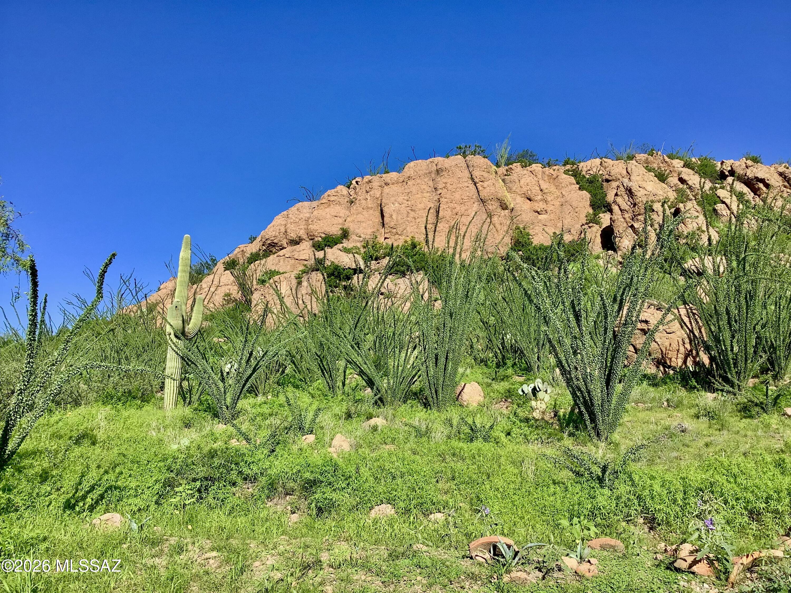 1052 Morning Star Drive Rio Rico, AZ 85648 - Photo 5 of 50 IMG_0118