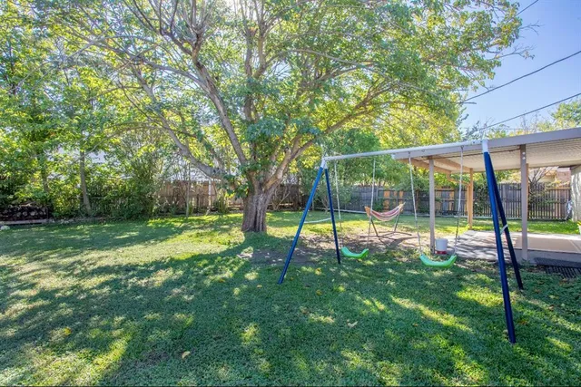a view of a park with a tree