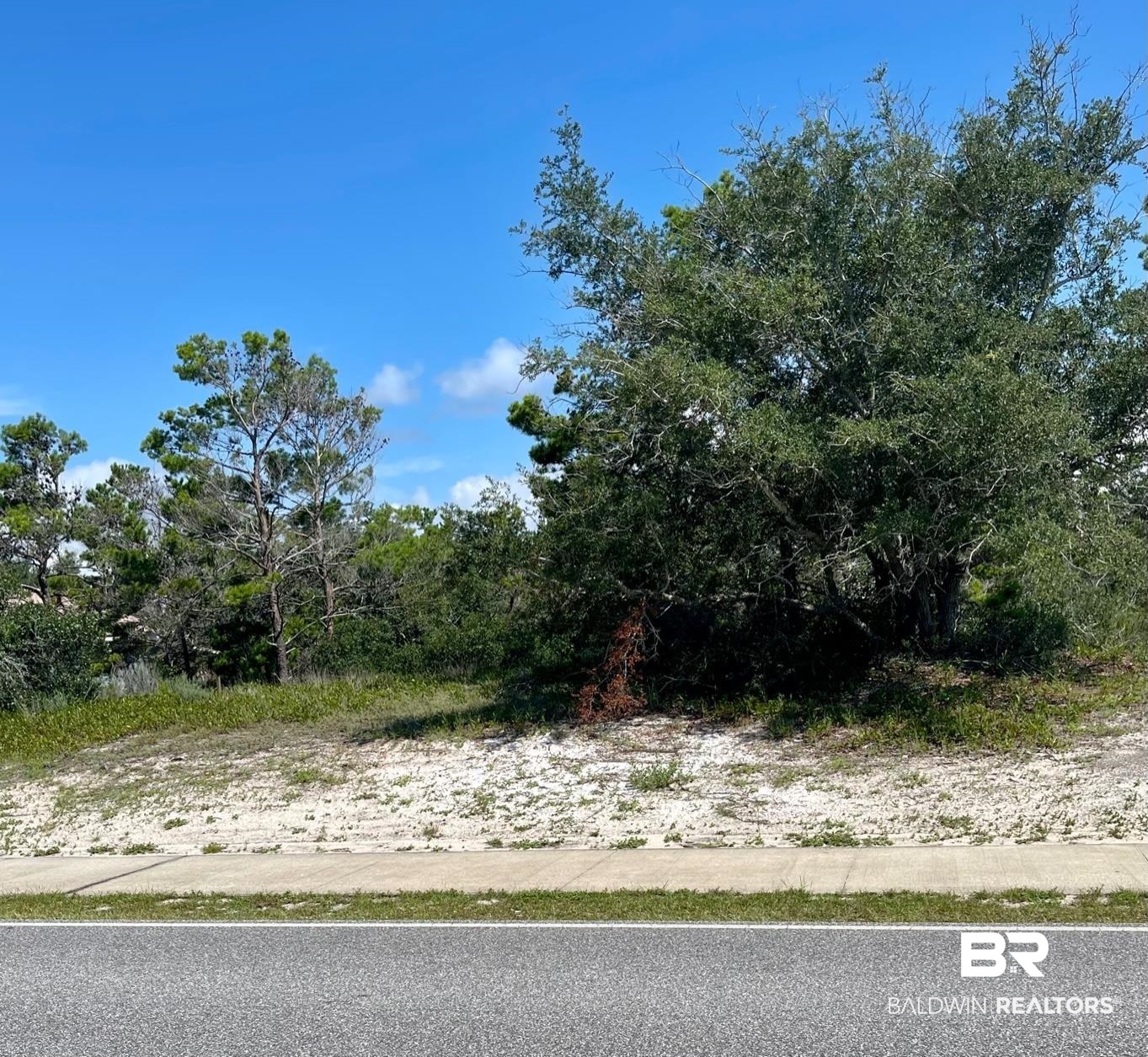 Lot 91 River Road Orange Beach, AL 36561 - Photo 4 of 10