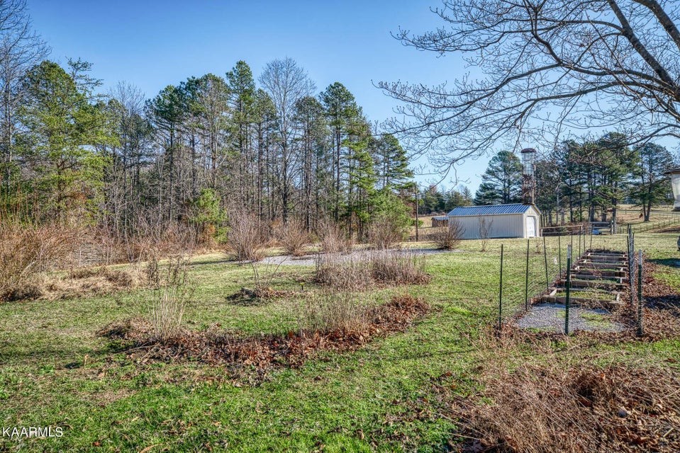 691 Boone Ridge Road Jamestown, TN 38556 - Photo 8 of 42 Gallery Image 8