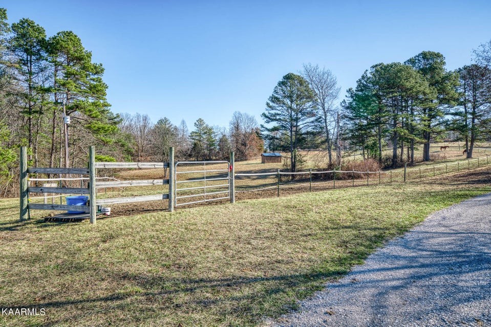 691 Boone Ridge Road Jamestown, TN 38556 - Photo 10 of 42 Gallery Image 10