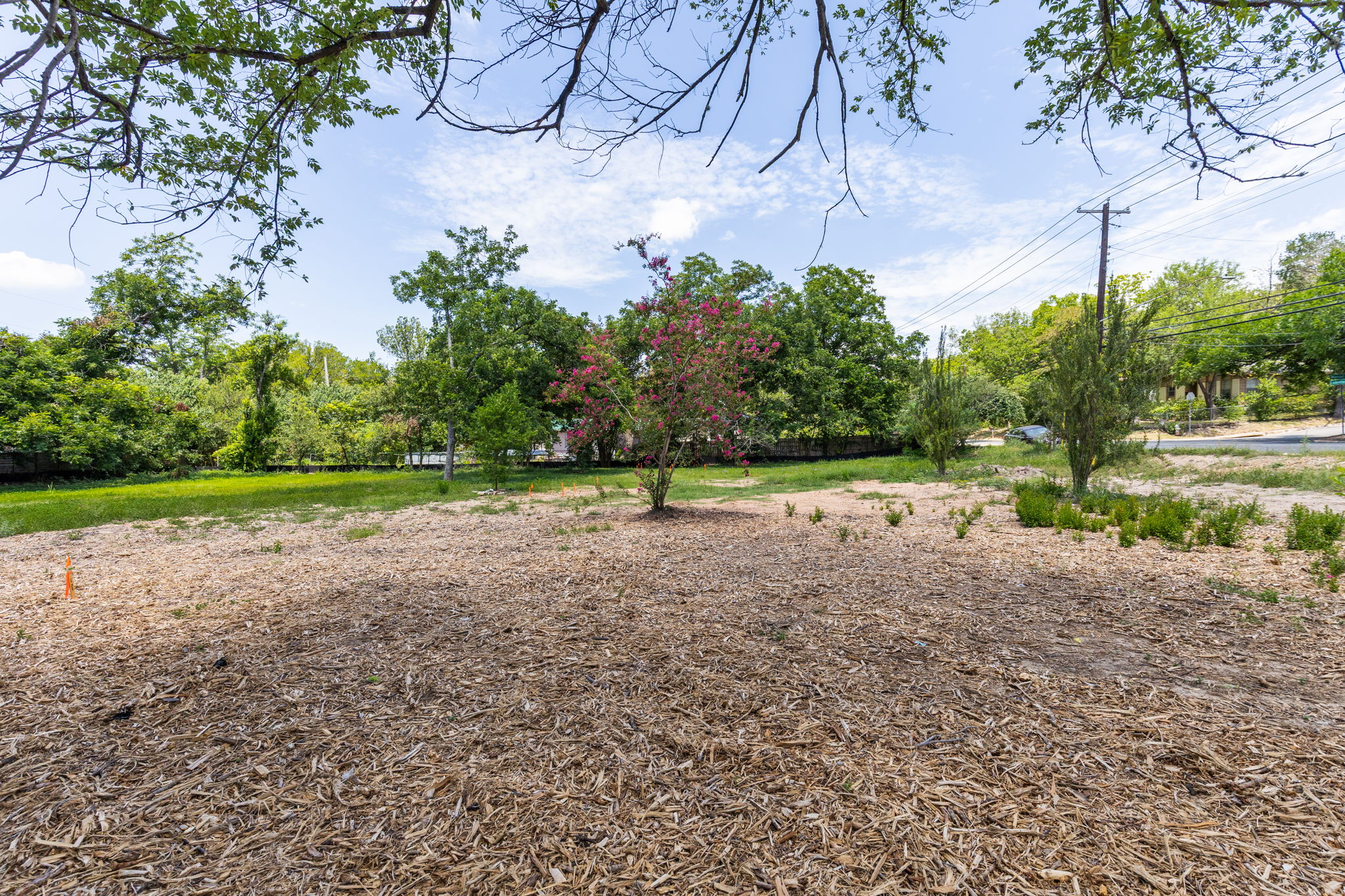 4801 Ledesma Road Austin, TX 78721 - Photo 7 of 24 A spacious, level lot offers ample room for new construction amidst established trees and a clear sky.