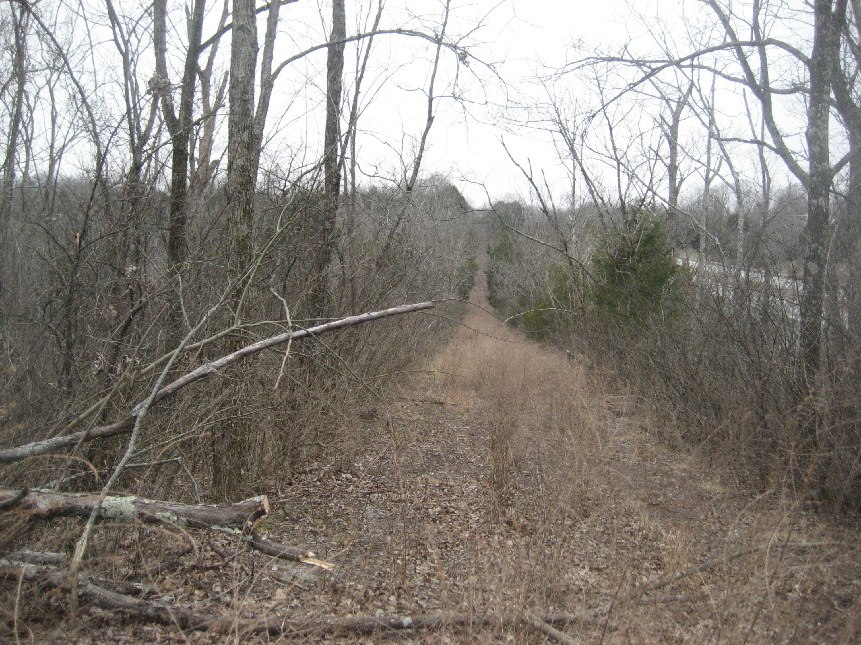 1235 Rutherford School Road Lawrenceburg, KY 40342 - Photo 29 of 31 IMG_1369