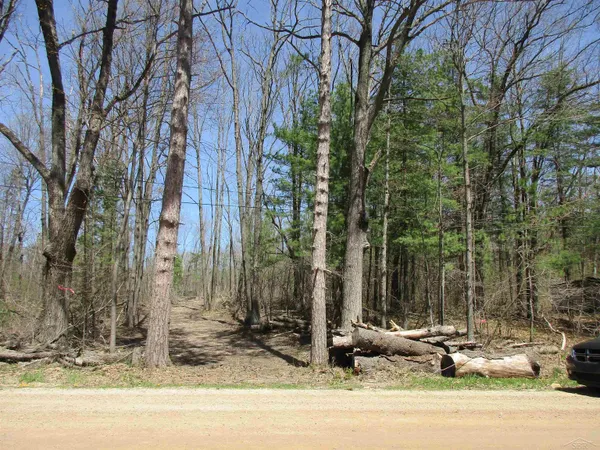 $48,000 | 7-019-300-12 East Clarence Road, Harrison, MI 48625