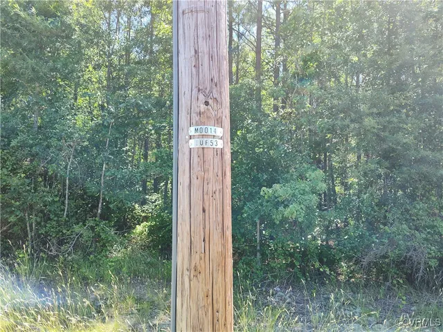 $74,000 | N/a Blue Star Highway, Jarratt, VA 23867