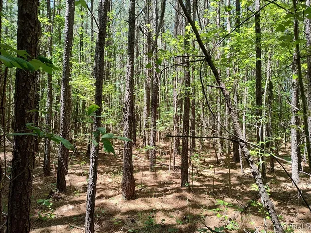 $74,000 | N/a Blue Star Highway, Jarratt, VA 23867