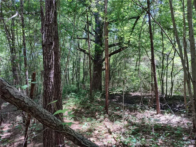 $74,000 | N/a Blue Star Highway, Jarratt, VA 23867