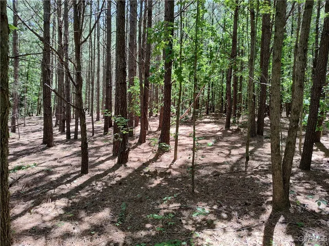 $74,000 | N/a Blue Star Highway, Jarratt, VA 23867