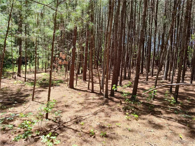 $74,000 | N/a Blue Star Highway, Jarratt, VA 23867