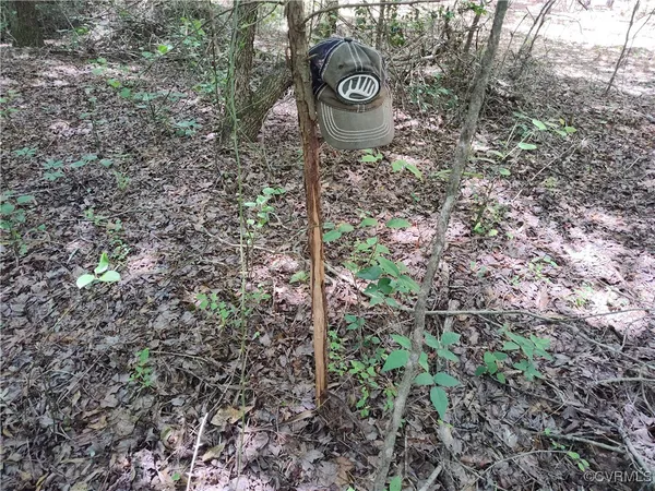 a view of outdoor space and green space