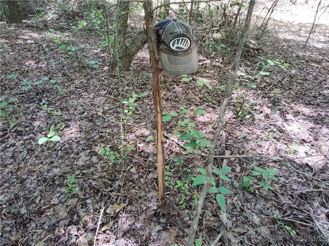 $74,000 | N/a Blue Star Highway, Jarratt, VA 23867