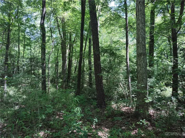 $74,000 | N/a Blue Star Highway, Jarratt, VA 23867