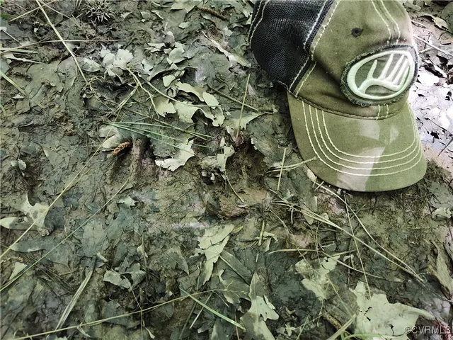 $74,000 | N/a Blue Star Highway, Jarratt, VA 23867