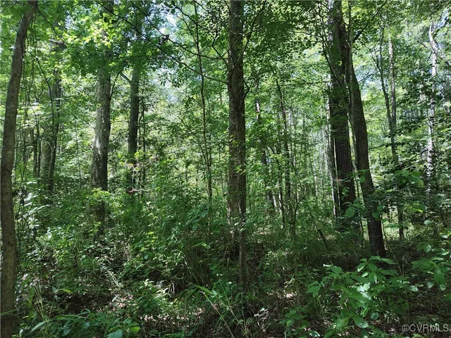 $74,000 | N/a Blue Star Highway, Jarratt, VA 23867