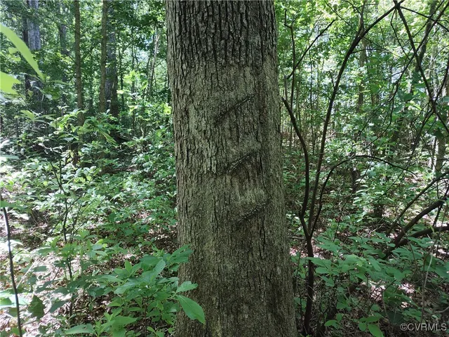 $74,000 | N/a Blue Star Highway, Jarratt, VA 23867