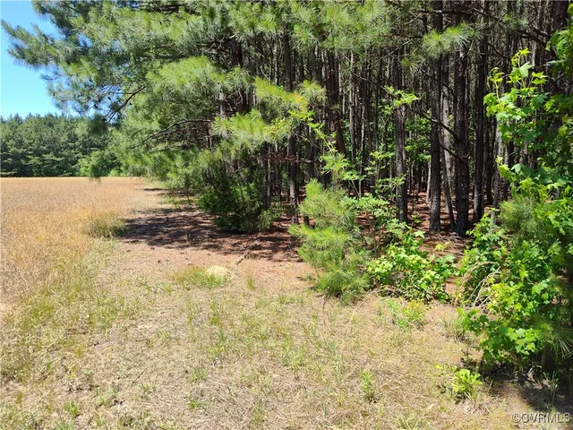 $74,000 | N/a Blue Star Highway, Jarratt, VA 23867