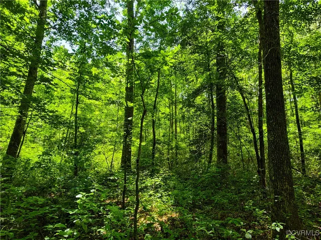 $74,000 | N/a Blue Star Highway, Jarratt, VA 23867