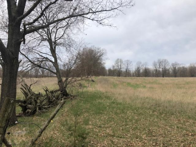 14680 4 Mile Road Morley, MI 49336 - Photo 1 of 6 IMG_7455