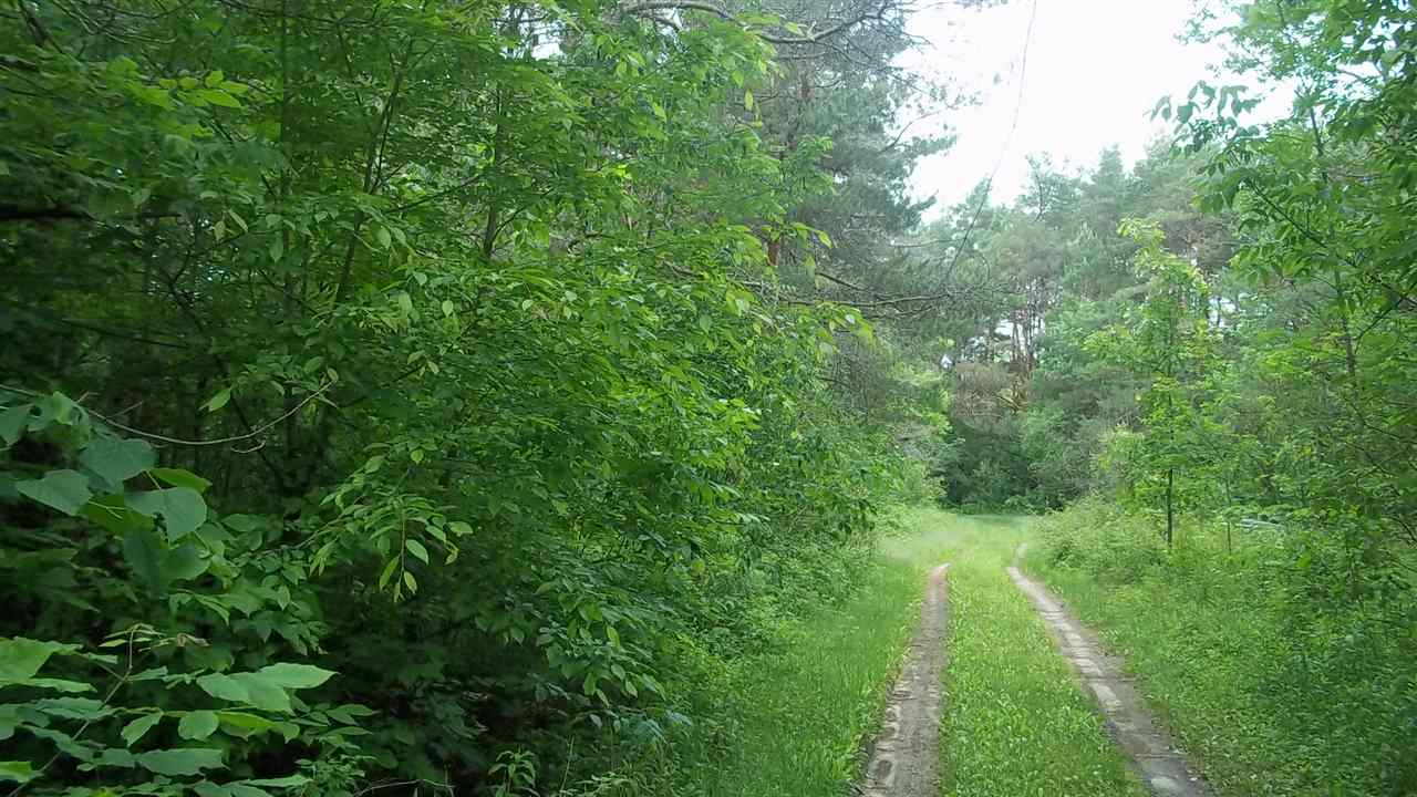 4548 Alabaster Road Turner, MI 48765 - Photo 18 of 20 1794535-17.JPG