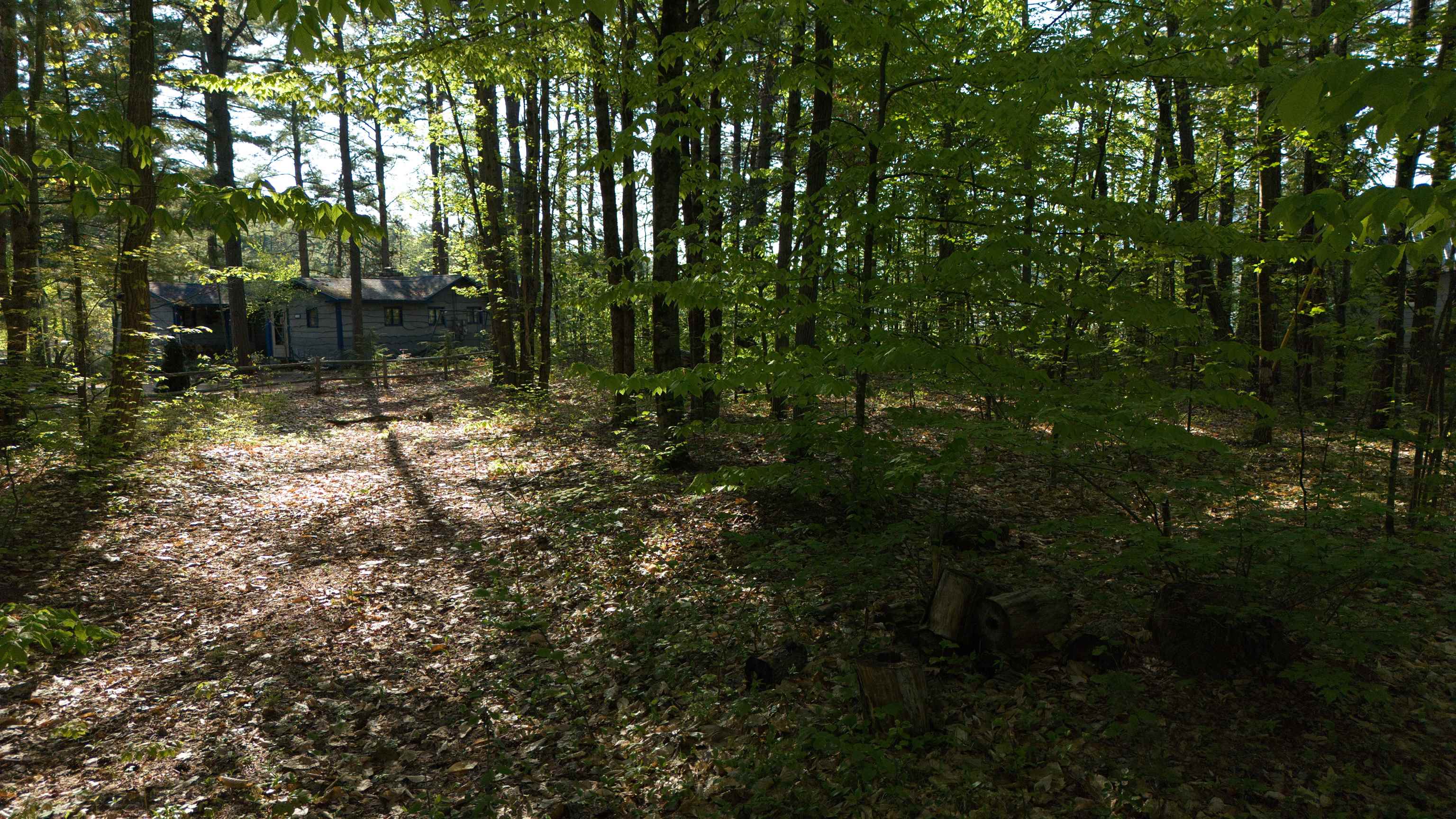 164 Leavitt Road Ossipee, NH 03814 - Photo 17 of 21