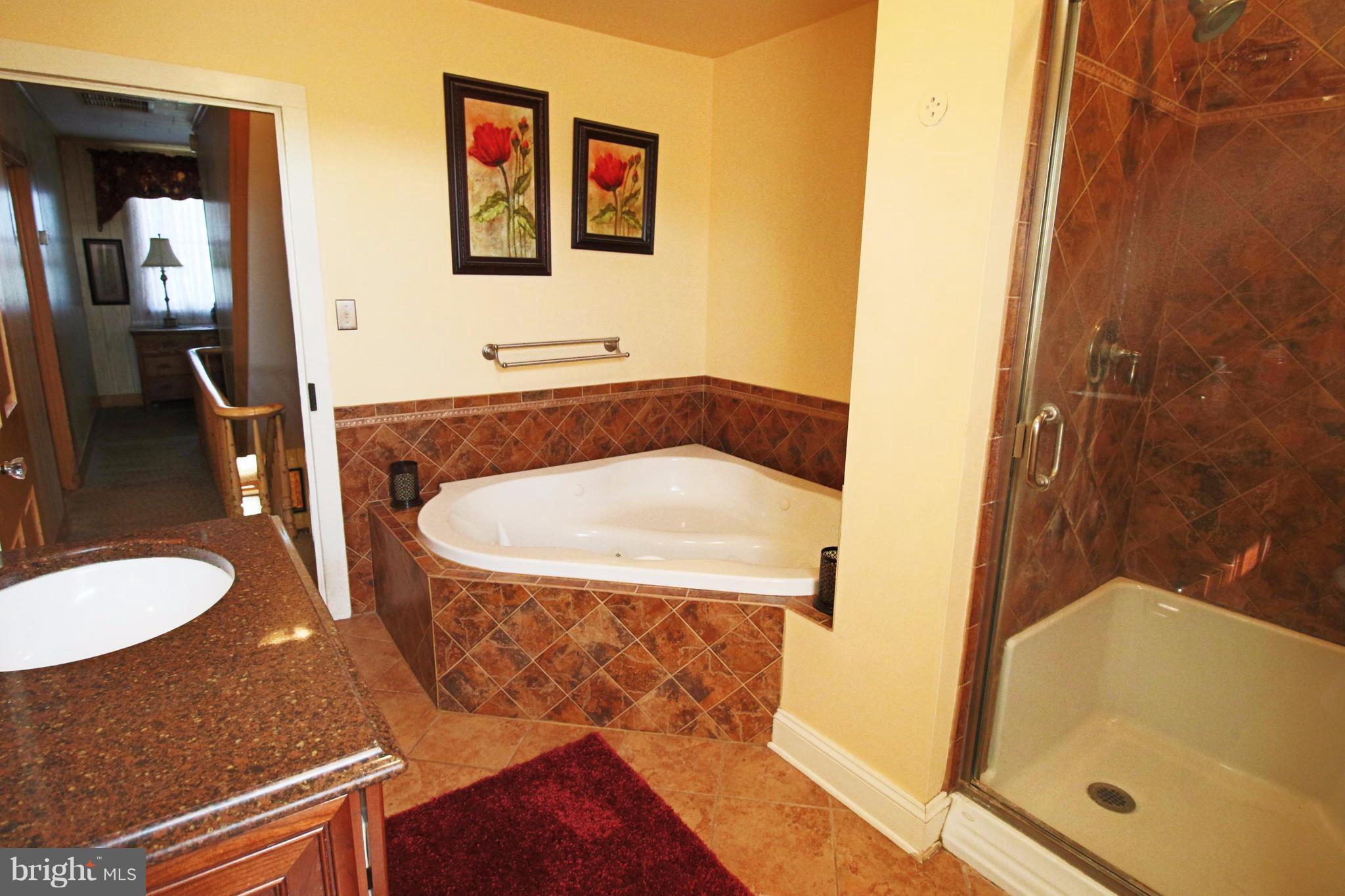 12949 Detour Road Keymar, MD 21757 - Photo 17 of 30 a bathroom with a tub and mirror