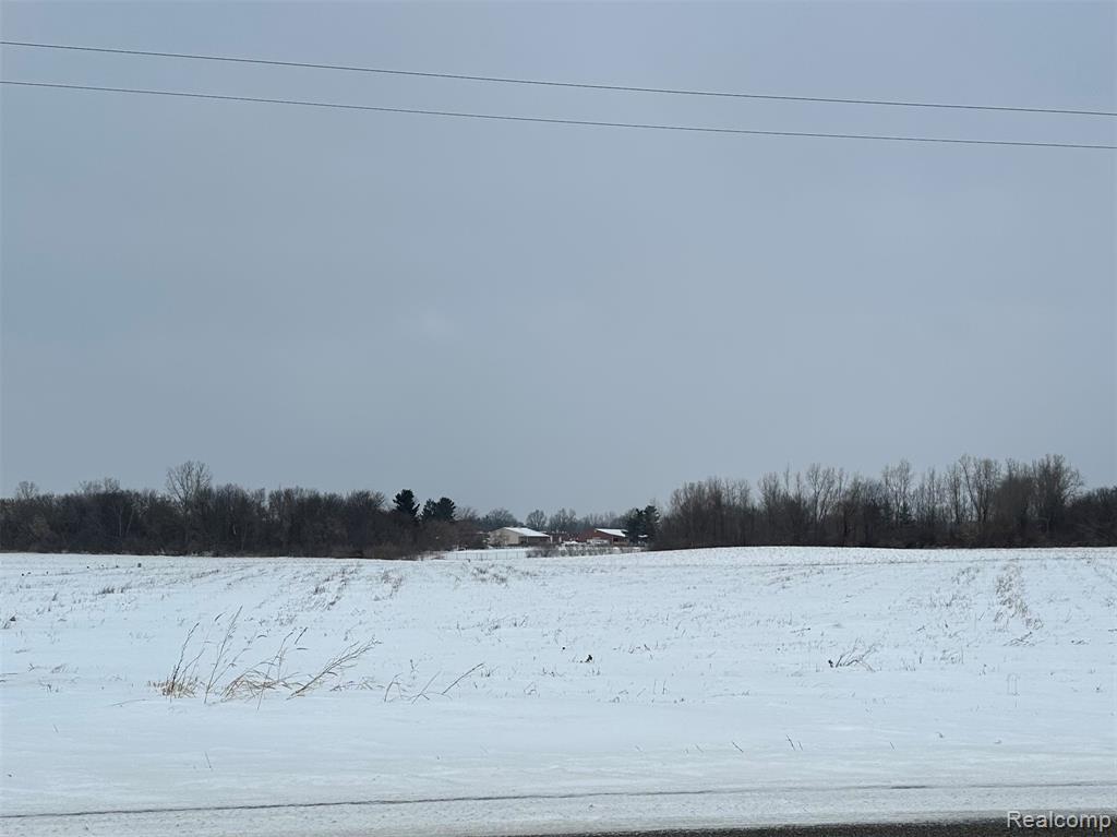 4651 Imlay City Road Attica, MI 48412 - Photo 1 of 1