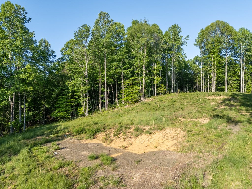 65-ac Dugspur Road, Unit 18 Dugspur, VA 24325 - Photo 20 of 68 Gallery Image 20