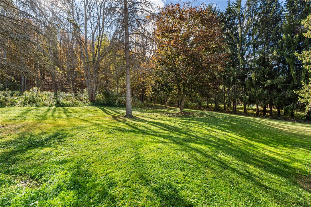 3484 Highway 39 Eagle, NY 14024 - Photo 40 of 44